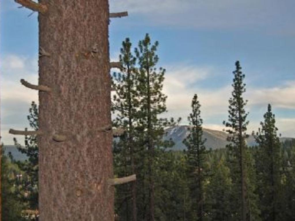 Tahoe Stoneridge Truckee Quarto foto